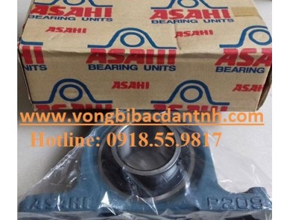 BẠC ĐẠN UCP202 - ASAHI